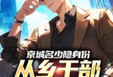 (全文)京城名少隐身份,从乡干部开始逆袭谢斌裴靖泽最新完结小说京城名少隐身份,从乡干部开始逆袭免费阅读-逐鹿文学