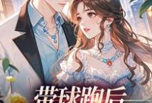 带球跑后，我成了万人迷宋成彦姜棉完结小说推荐带球跑后，我成了万人迷全本书籍阅读-逐鹿文学