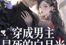 穿成男主早死的白月光？我不干了最新完结小说穿成男主早死的白月光？我不干了谢观砚林茉免费小说-逐鹿文学