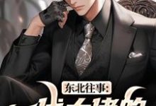 东北往事:一代大佬的成功之路王晨马三免费小说东北往事:一代大佬的成功之路推荐完结小说-逐鹿文学