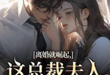 离婚就崛起，这总裁夫人她不做了热门小说排行榜离婚就崛起，这总裁夫人她不做了苏心瑶南羽陌免费小说全本-逐鹿文学