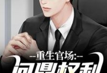 重生官场：问鼎权利之巅完整版小说，重生官场：问鼎权利之巅林峰刘艳茹全章小说阅读-逐鹿文学