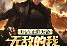 (全文)开局证道天帝，无敌的我在地球乱杀(叶凌天叶小雨)全本免费在线阅读-逐鹿文学