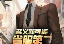 名义新可能：省服第二能否逆转大局萧承李妙灵热门小说排行榜名义新可能：省服第二能否逆转大局免费小说-逐鹿文学