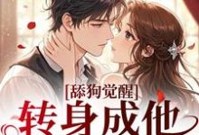 (全文)舔狗觉醒，转身成他高攀不起免费小说全本，舒念沈晏宸试读更新章节-逐鹿文学