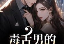 (全文)毒舌男的温柔攻势(盛京御宋听晚)全本免费在线阅读-逐鹿文学