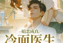 暗恋成真：冷面医生不好追推荐完结小说，暗恋成真：冷面医生不好追宁雨莟顾懿渊免费小说全本-逐鹿文学