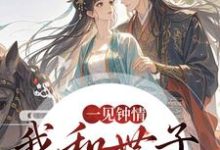 沈如风苏云锦一见钟情，我和世子天生一对全本免费在线阅读-逐鹿文学