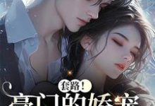 (全文)套路！豪门的娇宠千金撩夫了颜亦辰梵晞悦全本免费在线阅读-逐鹿文学