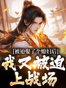 (全文)被迫娶了个媳妇后，我又被迫上战场(凌晨青柠)全本免费在线阅读