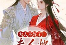 大人不好了!夫人她名动京城了热门小说排行榜大人不好了!夫人她名动京城了姜宁芷沈鹤书免费小说全本-逐鹿文学