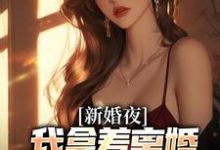 (全文)新婚夜，我拿着离婚协议黯然离场热门小说排行榜，新婚夜，我拿着离婚协议黯然离场叶修远白若雪全章小说阅读-逐鹿文学