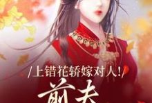 上错花轿嫁对人！前夫追悔莫及完整版小说，上错花轿嫁对人！前夫追悔莫及萧念窈陆奉行全章小说阅读-逐鹿文学
