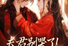 (全文)夫君别哭了！我来替你虐渣沈婉宁韩云泽完结小说推荐夫君别哭了！我来替你虐渣试读更新章节-逐鹿文学