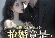 (全文)京圈太子爷疯了！抢婚竟是蓄谋已久完结小说推荐陆妄辞虞晚颜全本书籍阅读-逐鹿文学