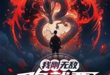 我刚无敌,你就要跟我退婚?热门小说排行榜我刚无敌,你就要跟我退婚?苏阳免费小说全本-逐鹿文学