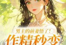 男主的前妻悟了！作精秒变粘人精许岁宁霍青山热门小说排行榜男主的前妻悟了！作精秒变粘人精免费小说-逐鹿文学