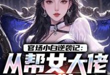 官场小白逆袭记:从帮女大佬开始唐诚李文静热门小说排行榜官场小白逆袭记:从帮女大佬开始免费小说-逐鹿文学