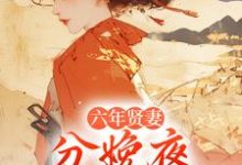 六年贤妻，分娩夜心死换和离最新章节阅读六年贤妻，分娩夜心死换和离(姜玉筝沈宴沉)试读更新章节-逐鹿文学