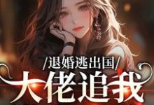 (全文)退婚逃出国，大佬追我满世界跑江野崎楚灵兮完结小说推荐退婚逃出国，大佬追我满世界跑试读更新章节-逐鹿文学