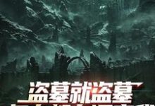 盗墓就盗墓，怎么都在调查我推荐完结小说盗墓就盗墓，怎么都在调查我(吴邪白小白)免费小说全本-逐鹿文学