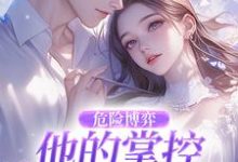 危险博弈：他的掌控与她的反杀（叶时欢）全章小说阅读-逐鹿文学