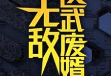 (全文)无敌医武废婿（秦铭）免费小说无敌医武废婿试读更新章节-逐鹿文学