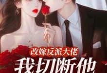 改嫁反派大佬，我切断他黑化根源！推荐完结小说改嫁反派大佬，我切断他黑化根源！(江知微萧著)免费小说全本-逐鹿文学