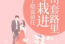甩了隐富前任，却栽进上司套路里完整版小说，甩了隐富前任，却栽进上司套路里林昭陆景淮试读更新章节-逐鹿文学