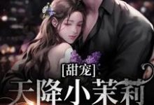 甜宠：天降小茉莉住进了我家完整版小说，甜宠：天降小茉莉住进了我家沈津南林听试读更新章节-逐鹿文学
