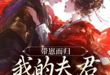 带崽而归，我的夫君是陛下云挽景宣帝完结小说推荐，带崽而归，我的夫君是陛下全章小说阅读-逐鹿文学