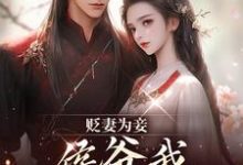 贬妻为妾,侯爷我不伺候啦(慎如余启)小说推荐贬妻为妾,侯爷我不伺候啦全章小说阅读-逐鹿文学