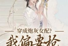 穿成炮灰女配？我偏要抢女主资源（顾柠芸慕辰泽）全章小说阅读-逐鹿文学
