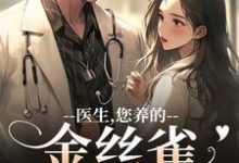 (全文)医生，您养的金丝雀要飞走了（苏慕春丁嘉朗）全本书籍阅读医生，您养的金丝雀要飞走了免费小说全本-逐鹿文学