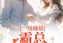 (全文)一场情劫，霸总追妻不休梁怀茵卓靖诗小说推荐，一场情劫，霸总追妻不休全章小说阅读-逐鹿文学