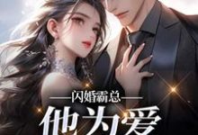 闪婚霸总，他为爱抛弃一切完整版小说，闪婚霸总，他为爱抛弃一切苏绿柔厉墨焱全章小说阅读-逐鹿文学