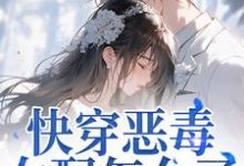 (全文)快穿恶毒女配怎么了,男主他超爱江辞晚傅云承全本免费在线阅读-逐鹿文学