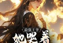 最强王爷:她哭着跟我求和热门小说排行榜最强王爷:她哭着跟我求和杨凡免费小说全本-逐鹿文学