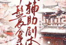 丫鬟拿稳辅助剧本最新完结小说丫鬟拿稳辅助剧本傅初霁免费小说-逐鹿文学
