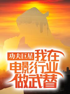 唐龙功夫巨星：我在电影行业做武替全本免费在线阅读