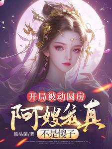 (全文)开局被动圆房，阿嫂我真不是傻子许修年小说推荐，开局被动圆房，阿嫂我真不是傻子全章小说阅读