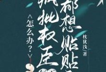 怎么办？疯批权臣每天都想贴贴我顾轻舟热门小说排行榜怎么办？疯批权臣每天都想贴贴我免费小说-逐鹿文学