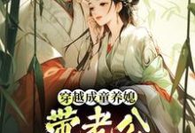 穿越成童养媳，带老公荒年发大财（林十七）全本书籍阅读穿越成童养媳，带老公荒年发大财完整版小说-逐鹿文学