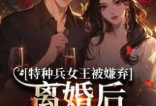 (全文)特种兵女王被嫌弃，离婚后马甲爆了(乔沁顾沉霆)全本免费在线阅读-逐鹿文学