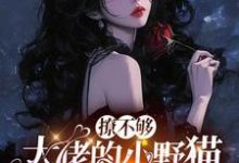 (全文)撩不够，大佬的小野猫又欲又嚣张完结小说推荐陆晨矅全本书籍阅读-逐鹿文学