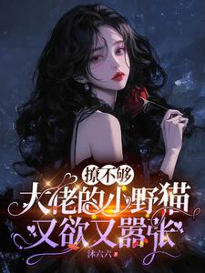 (全文)撩不够，大佬的小野猫又欲又嚣张完结小说推荐陆晨矅全本书籍阅读