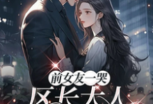 前女友一哭,区长大人立刻后悔了热门小说排行榜前女友一哭,区长大人立刻后悔了谢颂安许逢秋免费小说全本-逐鹿文学