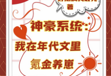 (全文)神豪系统:我在年代文里氪金养崽叶晓琳全本免费在线阅读-逐鹿文学