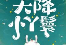 夏夏天降小丫鬟全本免费在线阅读-逐鹿文学