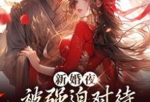新婚夜被强迫对待，这叫不近女色？（谢临珩虞听晚）全本书籍阅读新婚夜被强迫对待，这叫不近女色？完整版小说-逐鹿文学